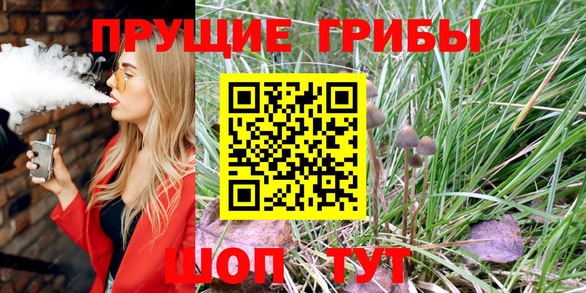 Галлюциногенные грибы MAGIC MUSHROOMS  Вход с VPN  Качканар 