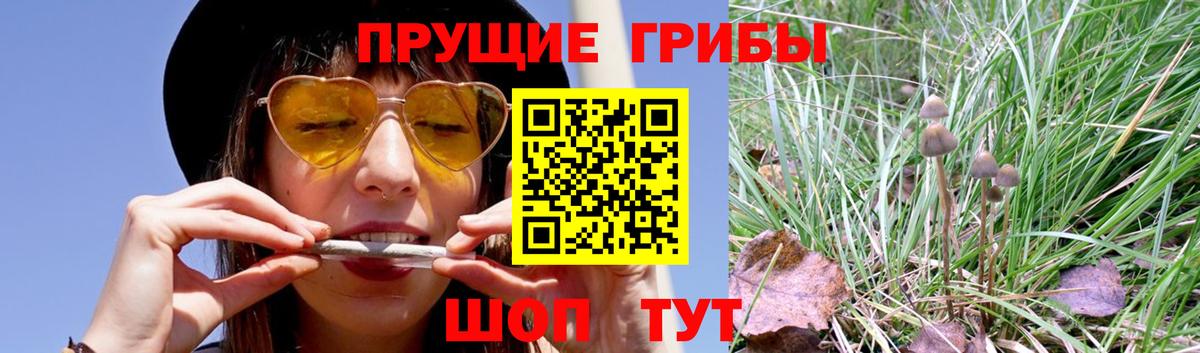 Псилоцибиновые грибы мицелий Качканар