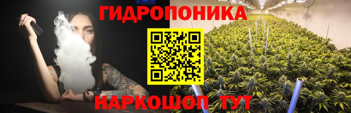 Качканар  Бошки Шишки семена  Вход с VPN  Шишки марихуана тримм 